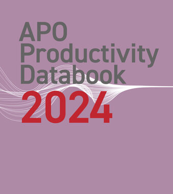 APO_Databook_2024_cover_data.jpg