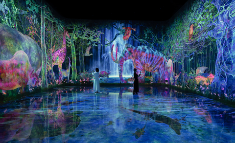 Main_Catching_and_Collecting_Extinct_Forest_2025Planets-01.jpg