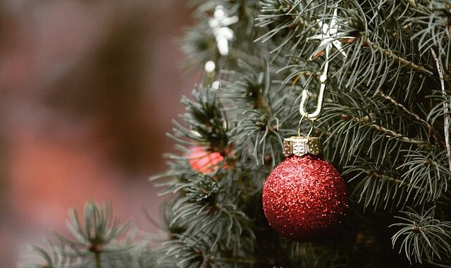christmas-4704706_640.jpg